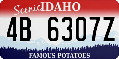 ID license plate 4B6307Z