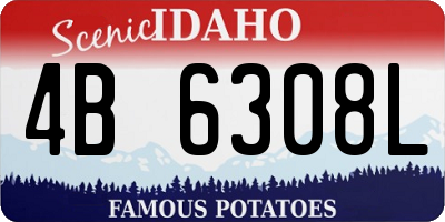 ID license plate 4B6308L