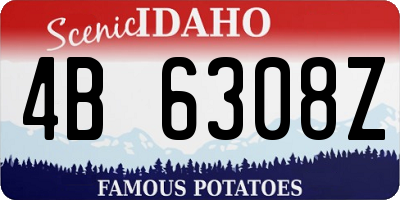 ID license plate 4B6308Z