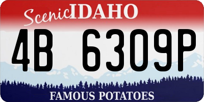 ID license plate 4B6309P