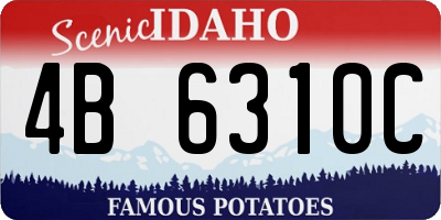 ID license plate 4B6310C
