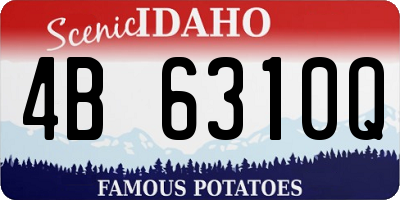 ID license plate 4B6310Q