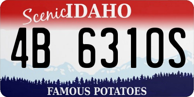 ID license plate 4B6310S