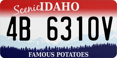ID license plate 4B6310V