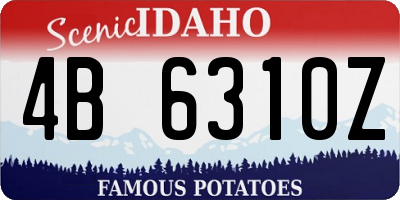 ID license plate 4B6310Z