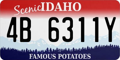 ID license plate 4B6311Y