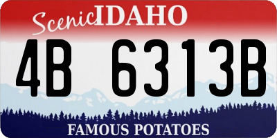 ID license plate 4B6313B