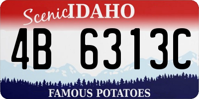 ID license plate 4B6313C