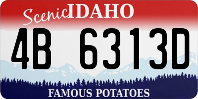 ID license plate 4B6313D