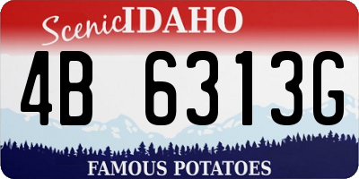 ID license plate 4B6313G