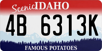 ID license plate 4B6313K