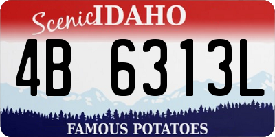 ID license plate 4B6313L