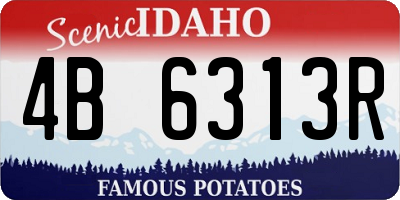 ID license plate 4B6313R