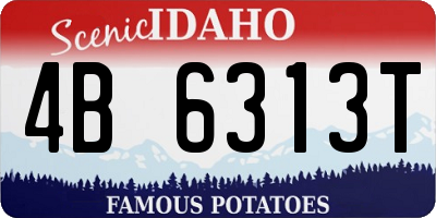 ID license plate 4B6313T