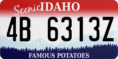 ID license plate 4B6313Z