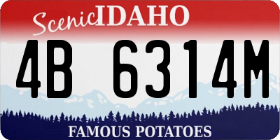 ID license plate 4B6314M