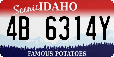ID license plate 4B6314Y