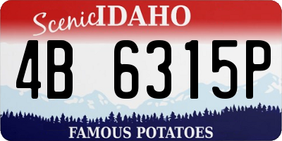 ID license plate 4B6315P