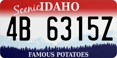 ID license plate 4B6315Z