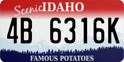 ID license plate 4B6316K