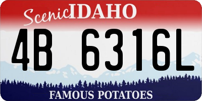 ID license plate 4B6316L