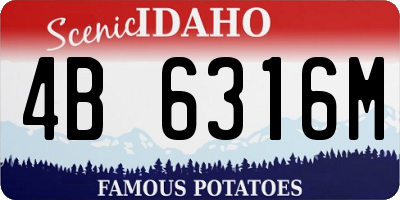 ID license plate 4B6316M