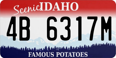 ID license plate 4B6317M