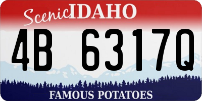 ID license plate 4B6317Q