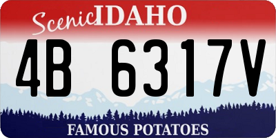 ID license plate 4B6317V