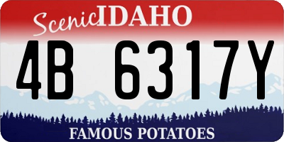 ID license plate 4B6317Y