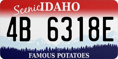 ID license plate 4B6318E