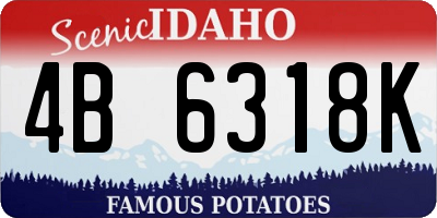 ID license plate 4B6318K