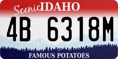 ID license plate 4B6318M