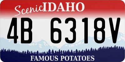 ID license plate 4B6318V