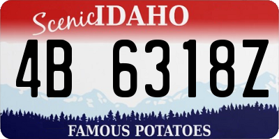 ID license plate 4B6318Z