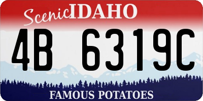 ID license plate 4B6319C