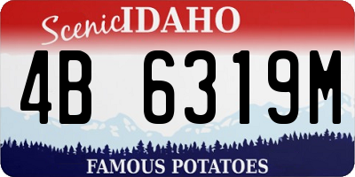 ID license plate 4B6319M
