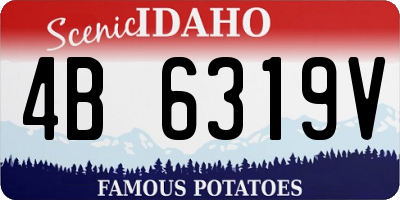 ID license plate 4B6319V