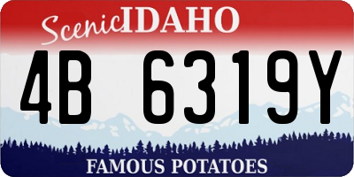 ID license plate 4B6319Y