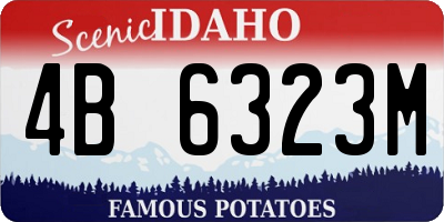 ID license plate 4B6323M
