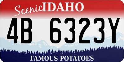 ID license plate 4B6323Y