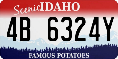 ID license plate 4B6324Y