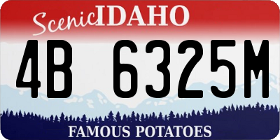 ID license plate 4B6325M