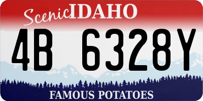 ID license plate 4B6328Y