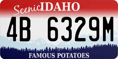 ID license plate 4B6329M