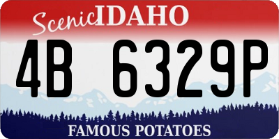 ID license plate 4B6329P