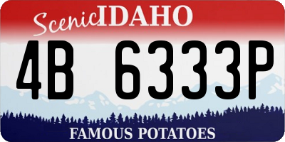 ID license plate 4B6333P