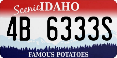 ID license plate 4B6333S