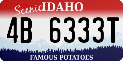 ID license plate 4B6333T