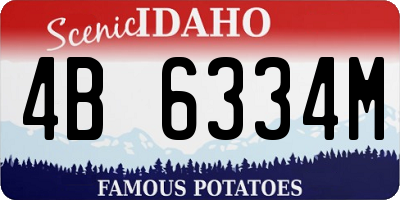 ID license plate 4B6334M
